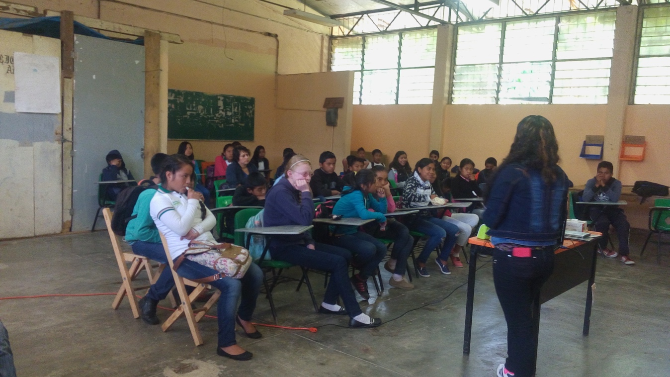 Imagen 2